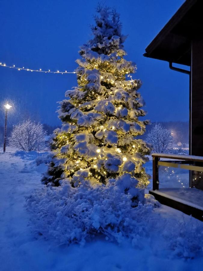 Kiurunrinne Villas Virasoja Exteriér fotografie