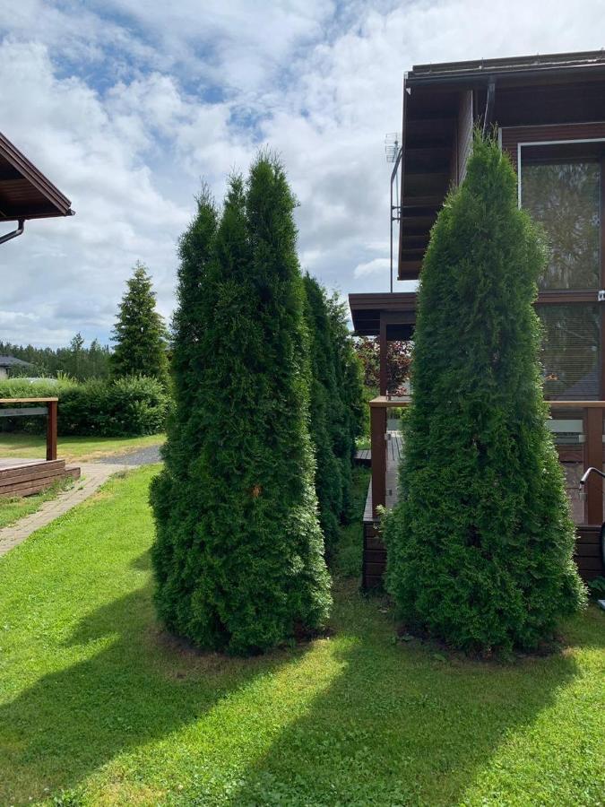 Kiurunrinne Villas Virasoja Exteriér fotografie