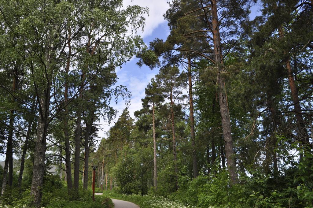 Kiurunrinne Villas Virasoja Exteriér fotografie